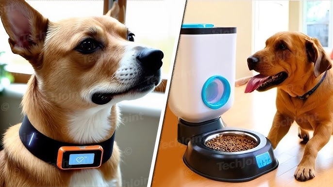 Best Pet Gadgets on Amazon 2025