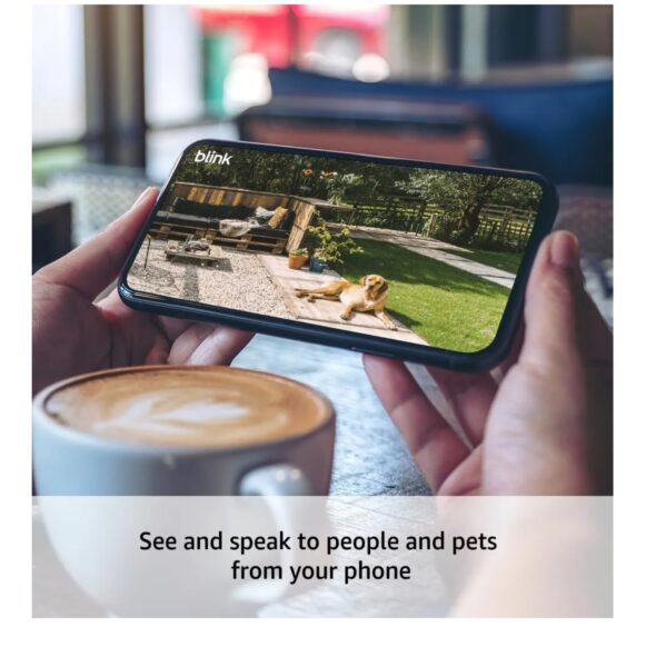 Blink Outdoor 4 + Mini 2 Review 2025