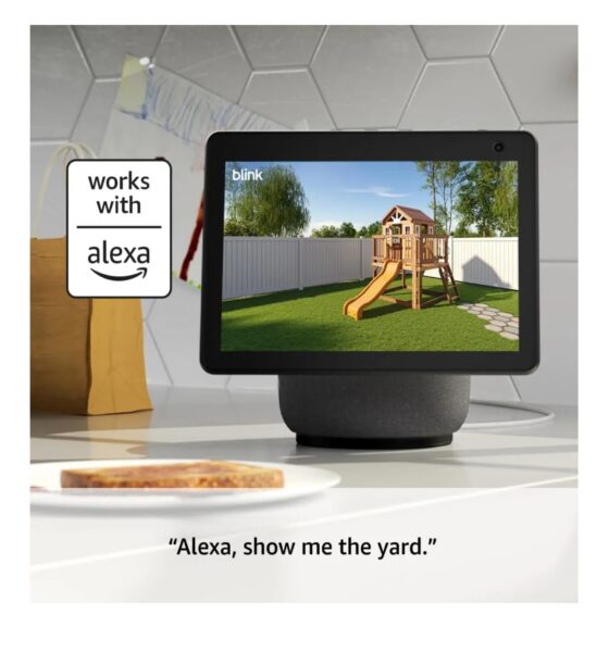 Blink Outdoor 4 + Mini 2 Review 2025